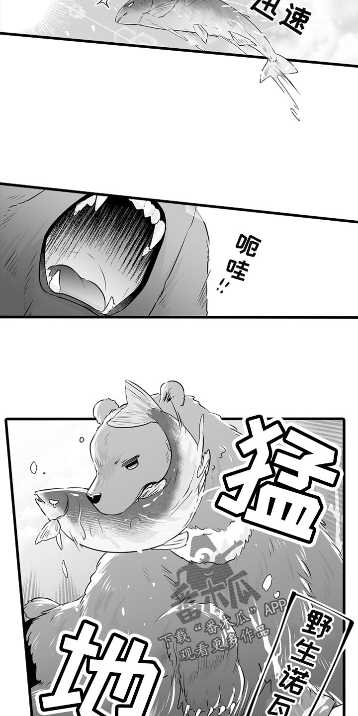 第38章：抓鲑鱼7