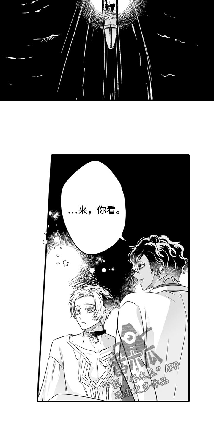 第36章：光芒8
