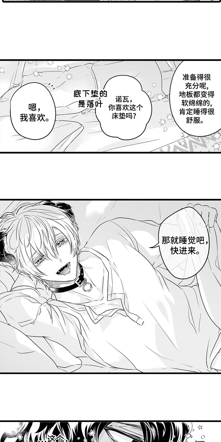 第40章：特别5