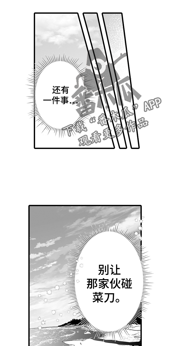 第72章：烟花5