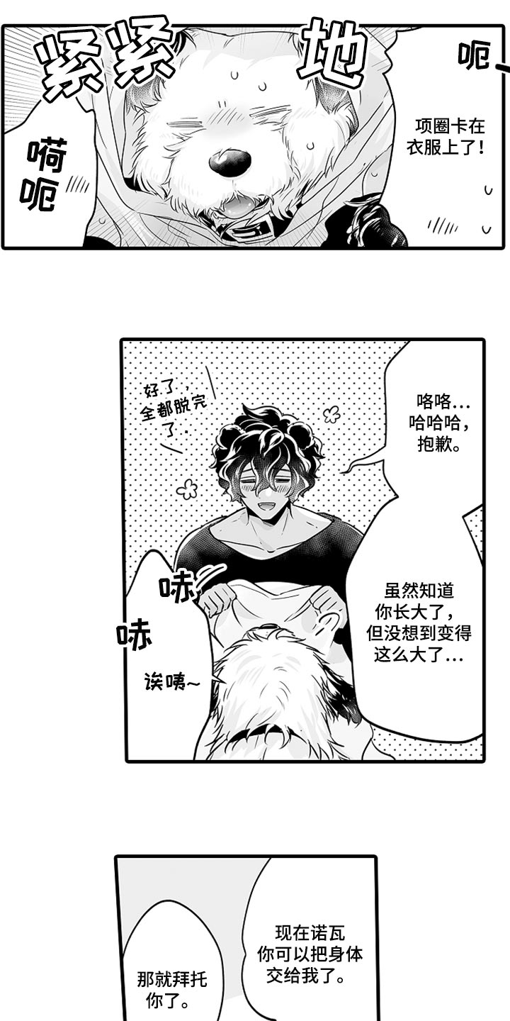 第19章：睡懒觉6