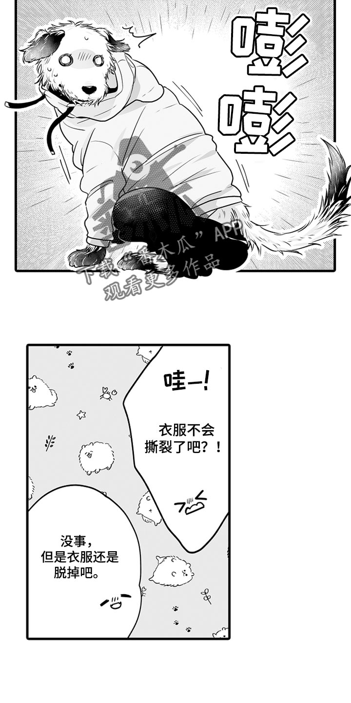 第19章：睡懒觉5