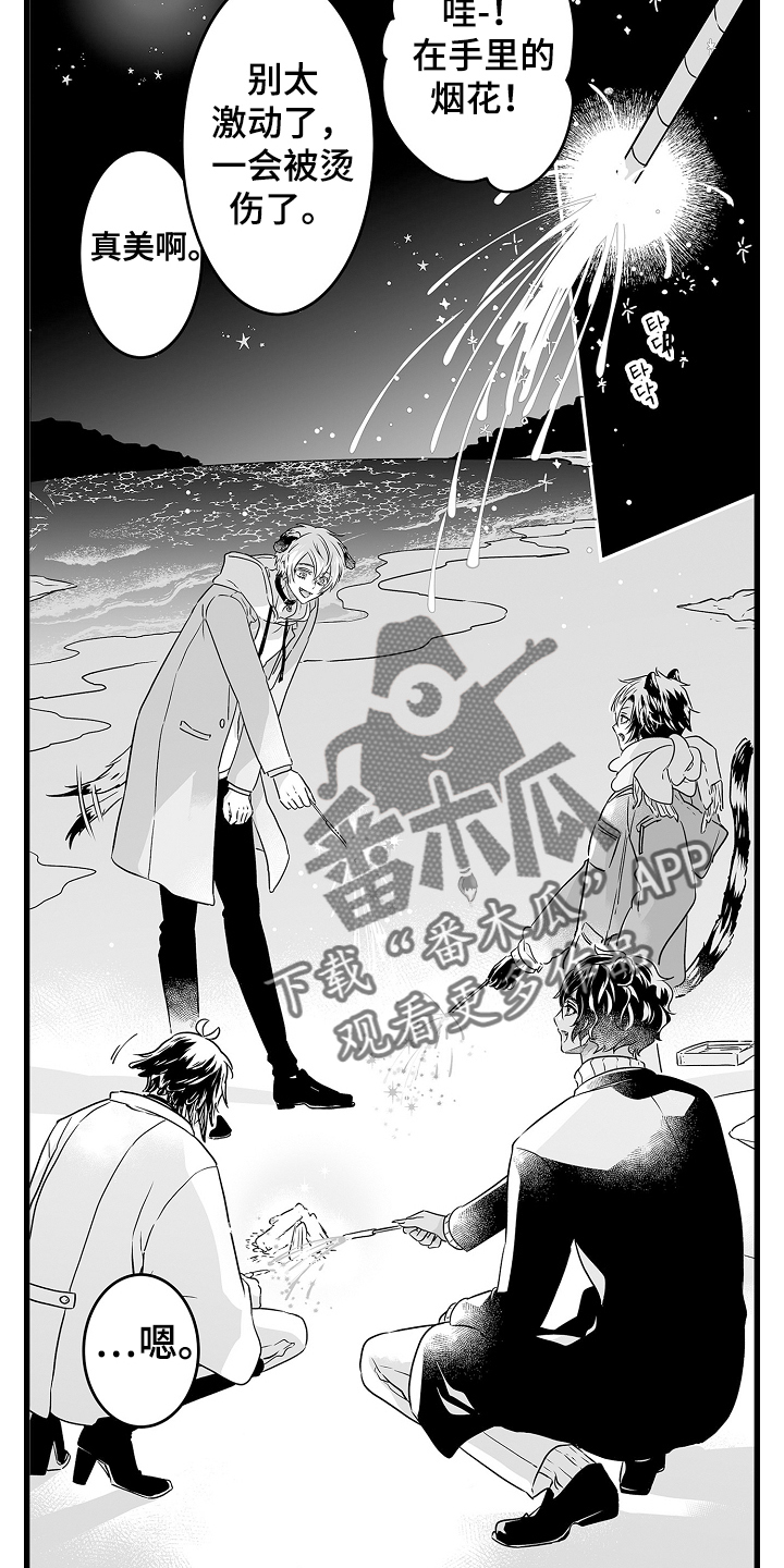 第72章：烟花17