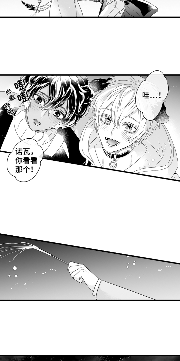 第72章：烟花26