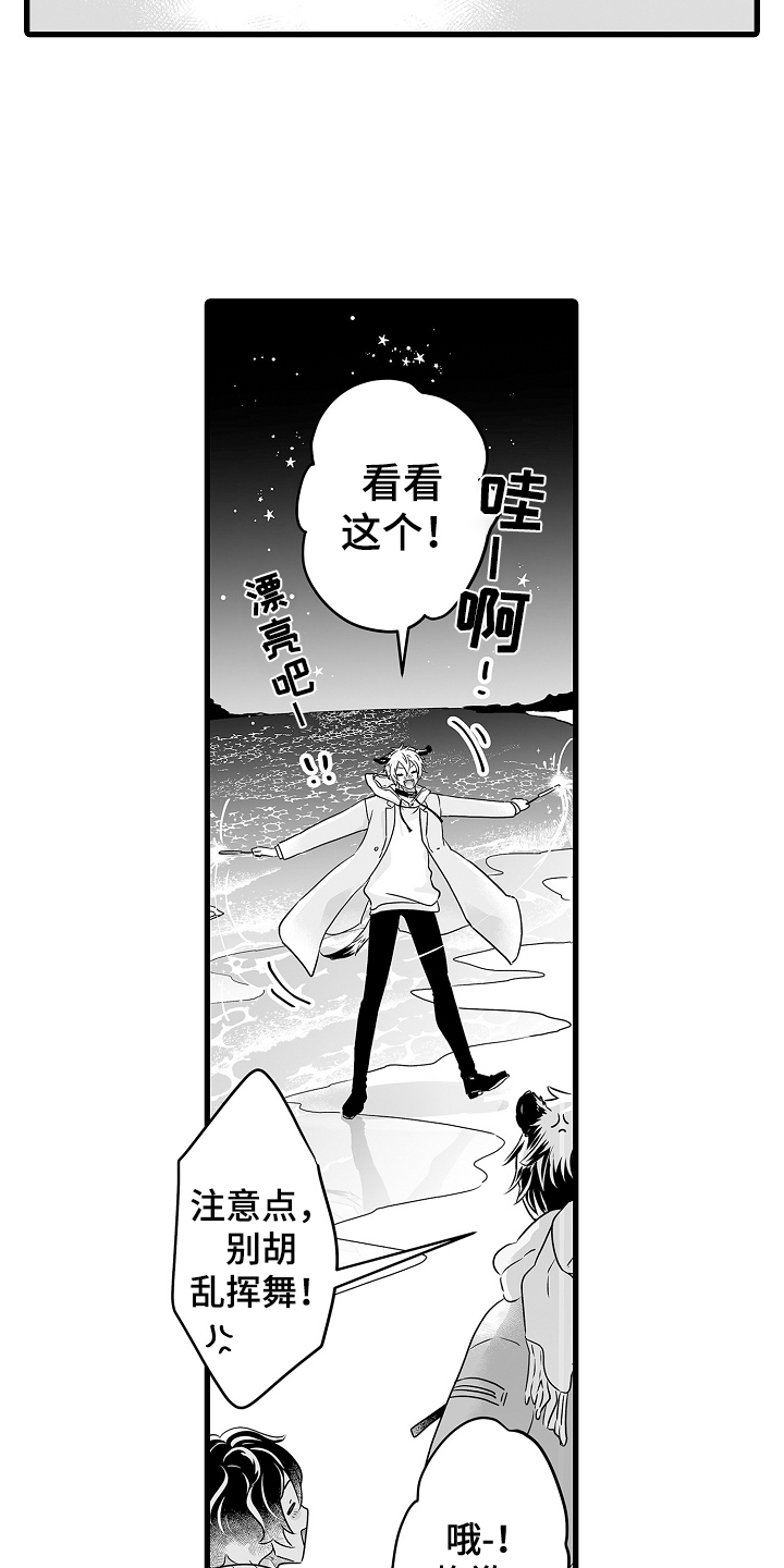 第72章：烟花18