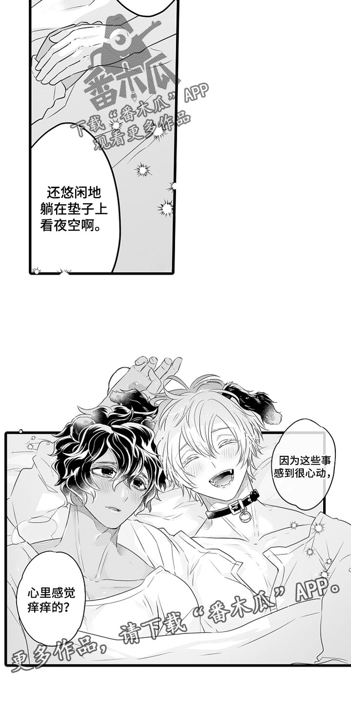第40章：特别11