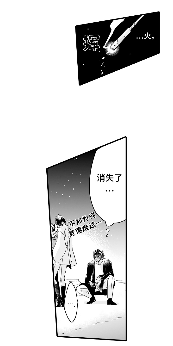 第72章：烟花20