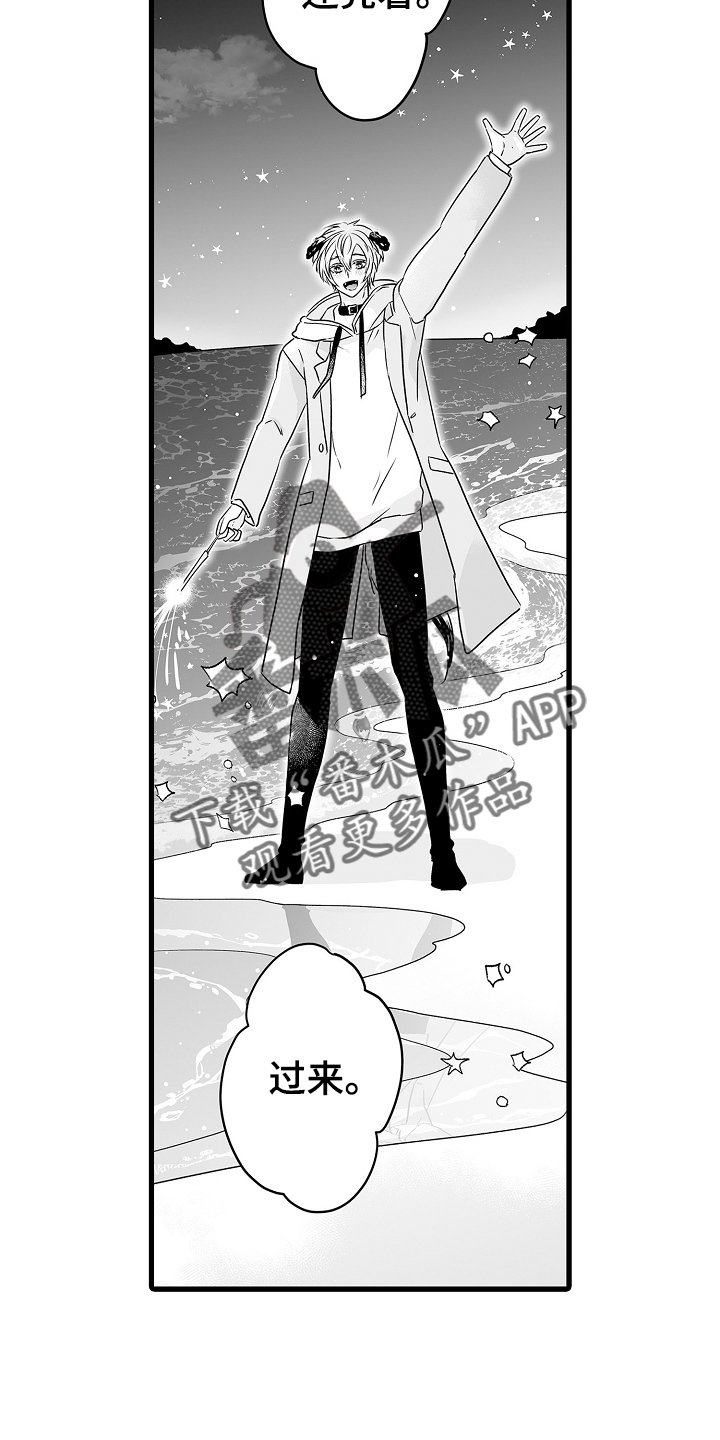 第72章：烟花23