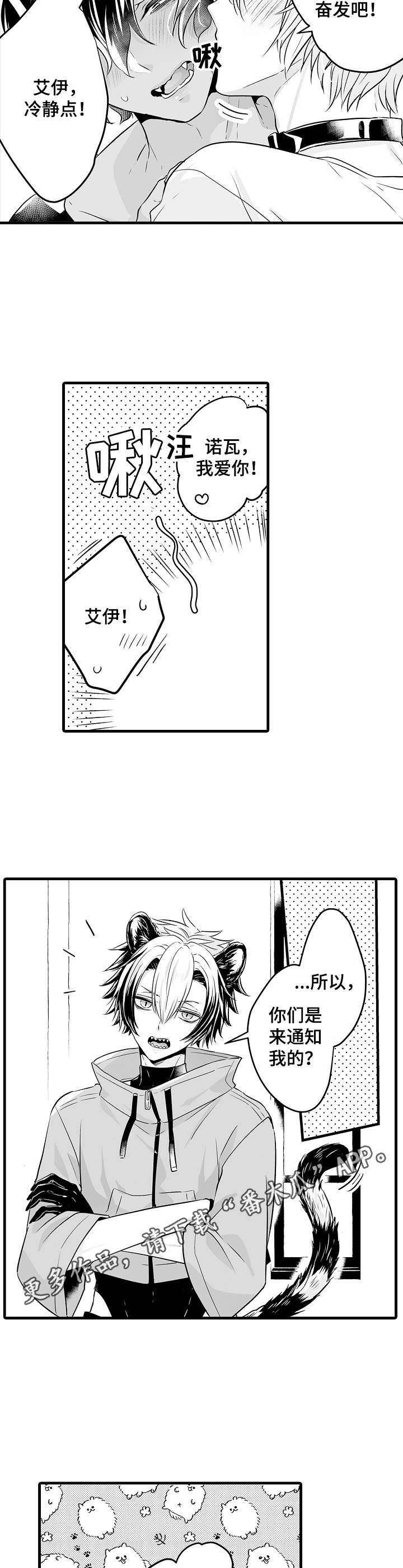 第11章：操心4