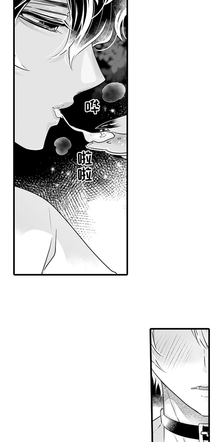 第40章：特别1