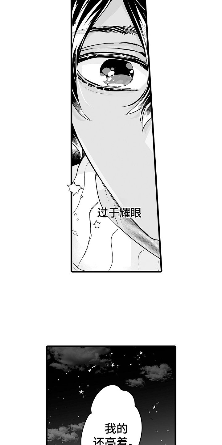 第72章：烟花22