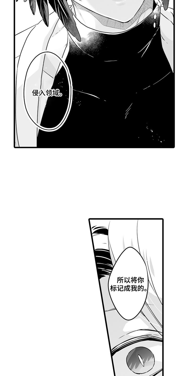 第65章：标记14