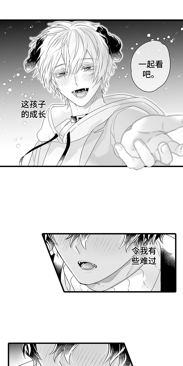 第72章：烟花24