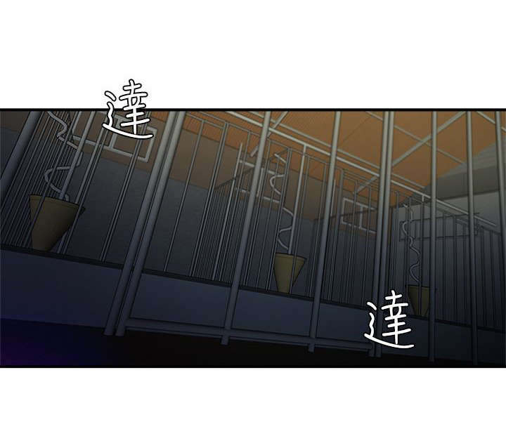 第1章：养殖场1