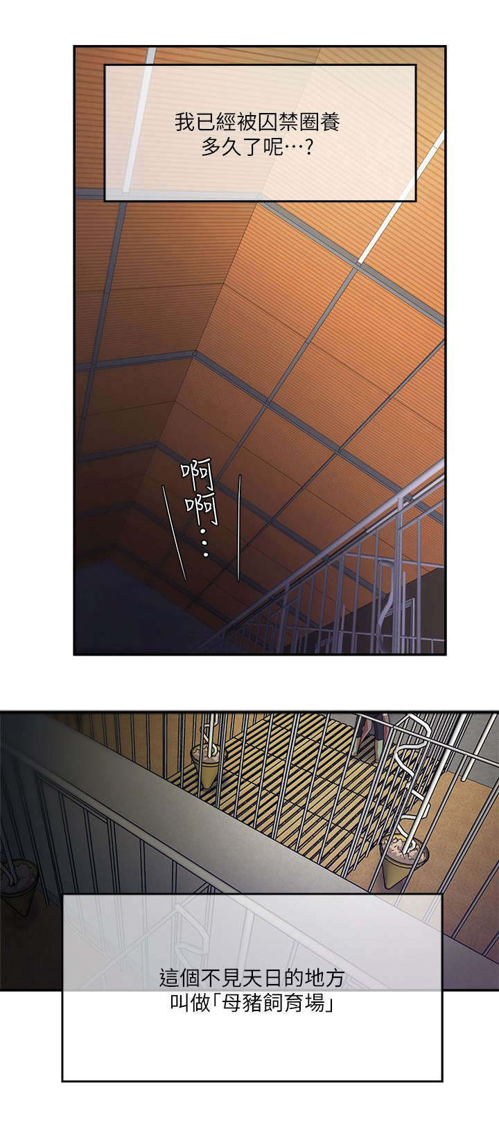 第1章：养殖场11