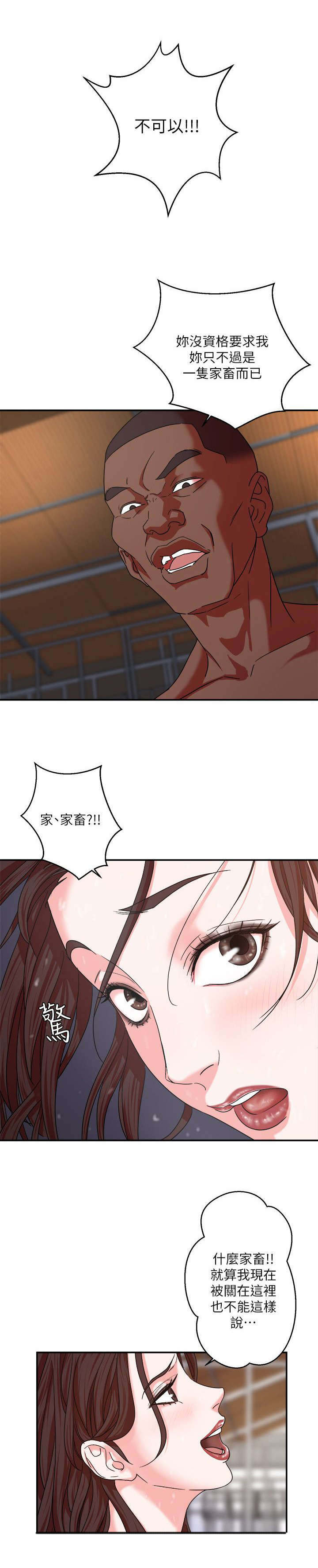 第7章：宠物2