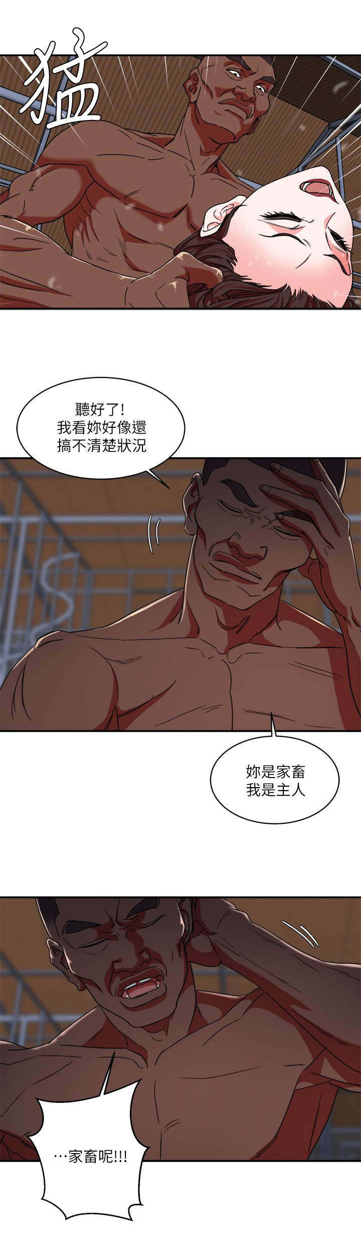 第7章：宠物3