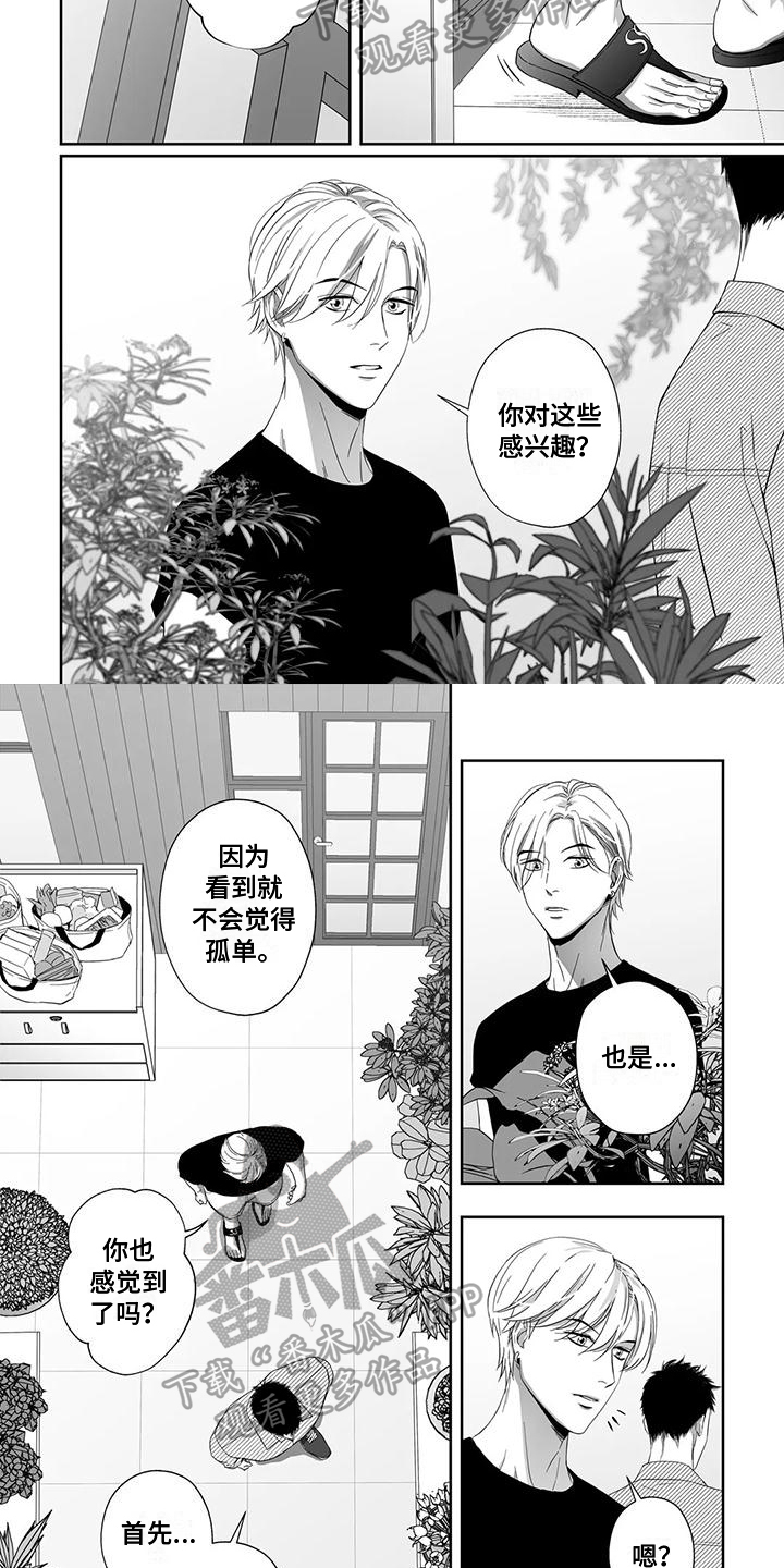 第21章：盆栽1