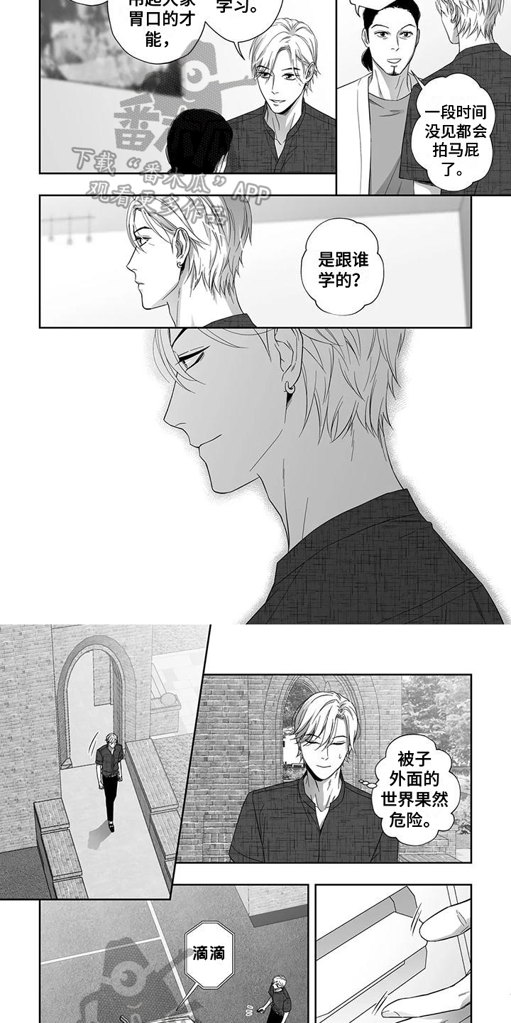 第13章：熟悉3