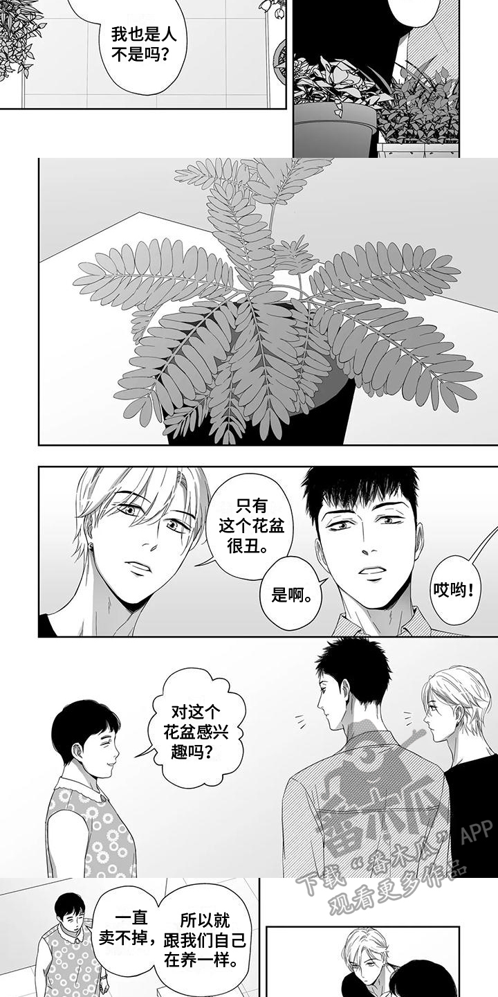 第21章：盆栽2