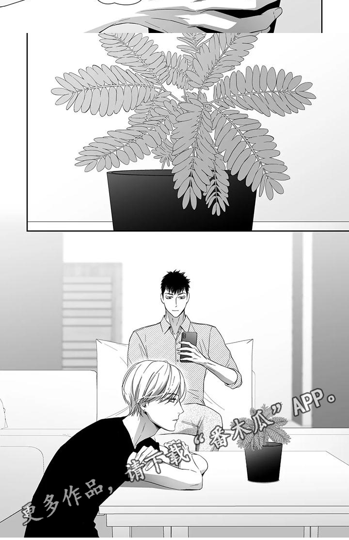 第21章：盆栽5