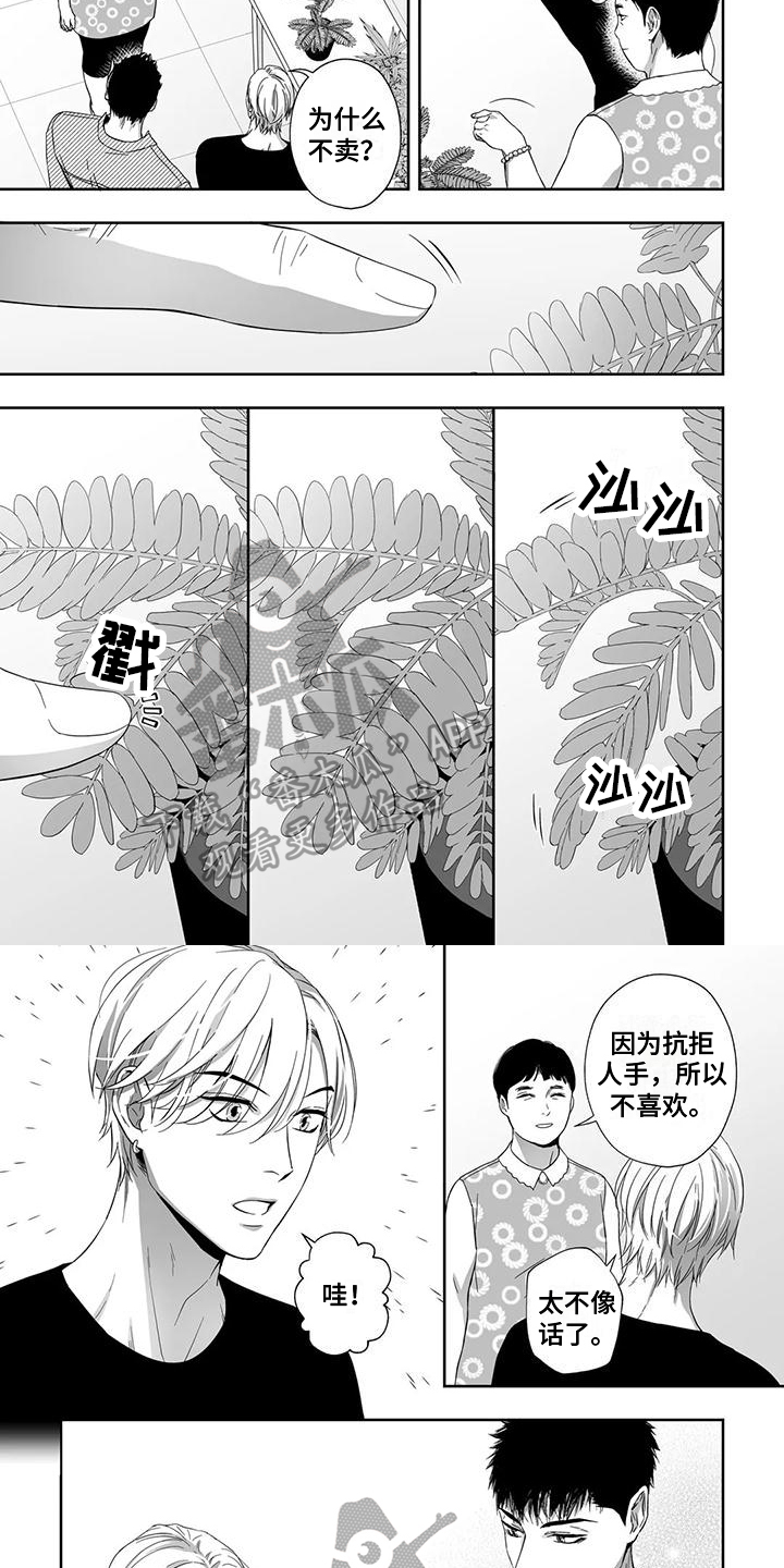 第21章：盆栽3