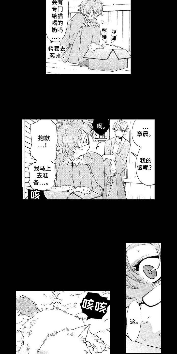 第2章：小猫8