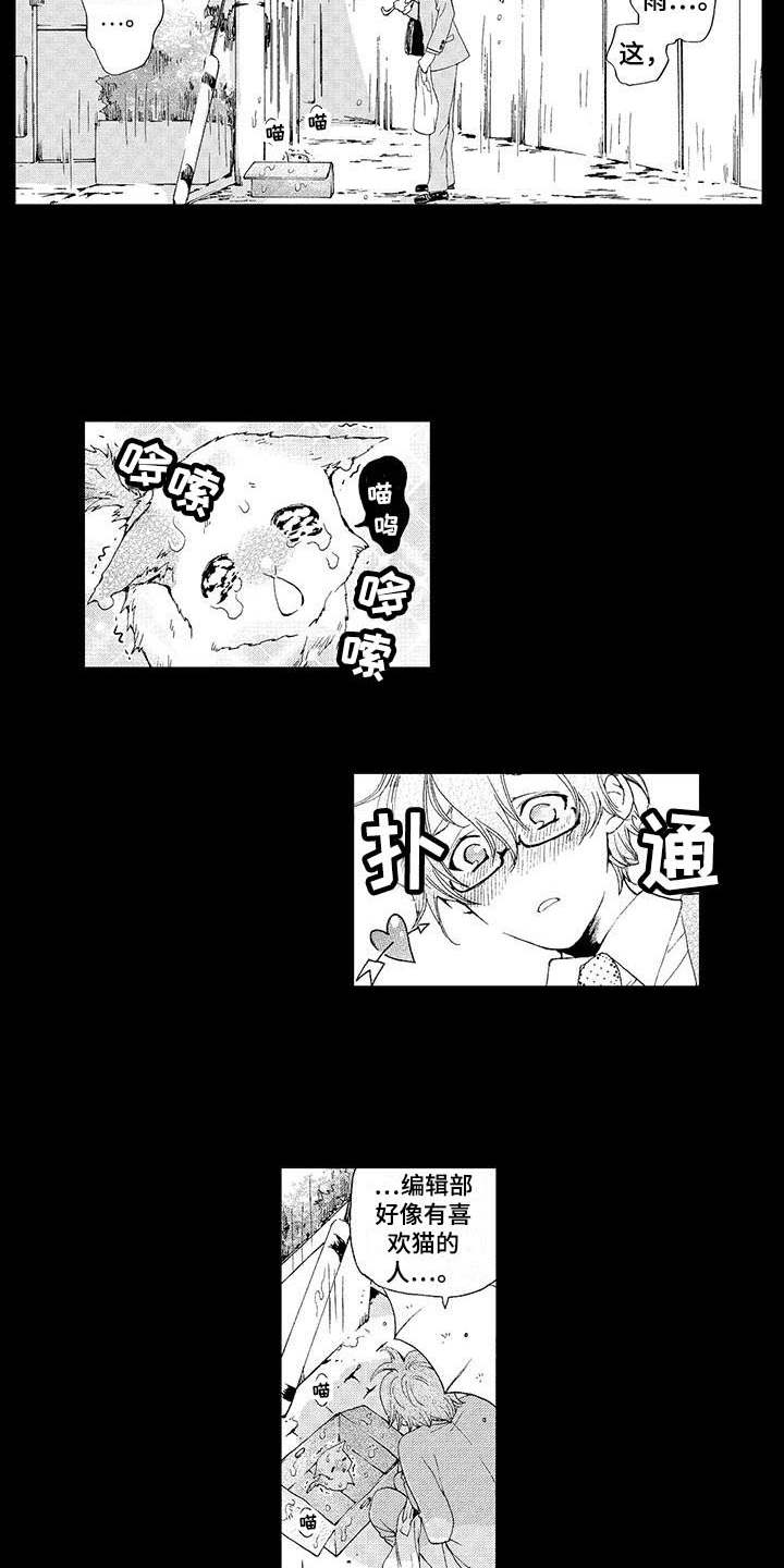 第2章：小猫5