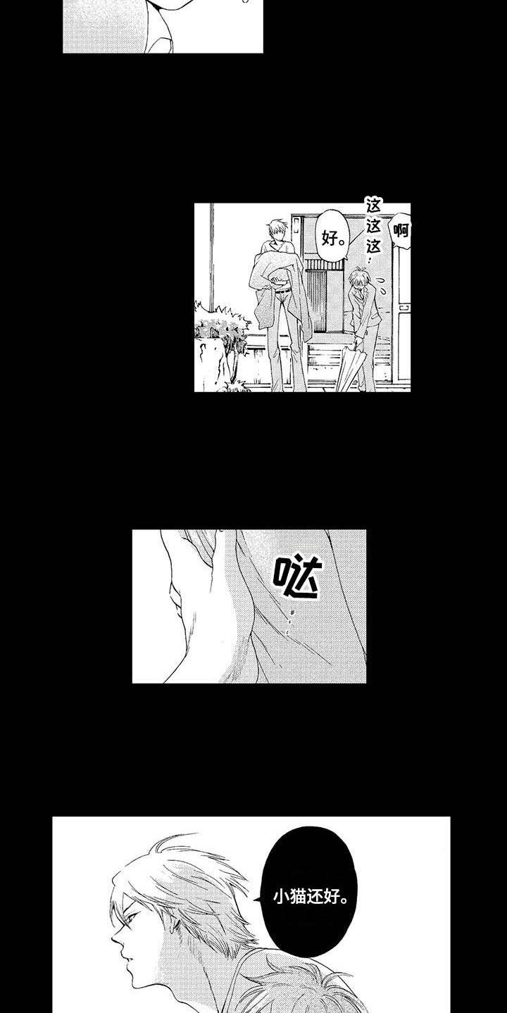第2章：小猫11