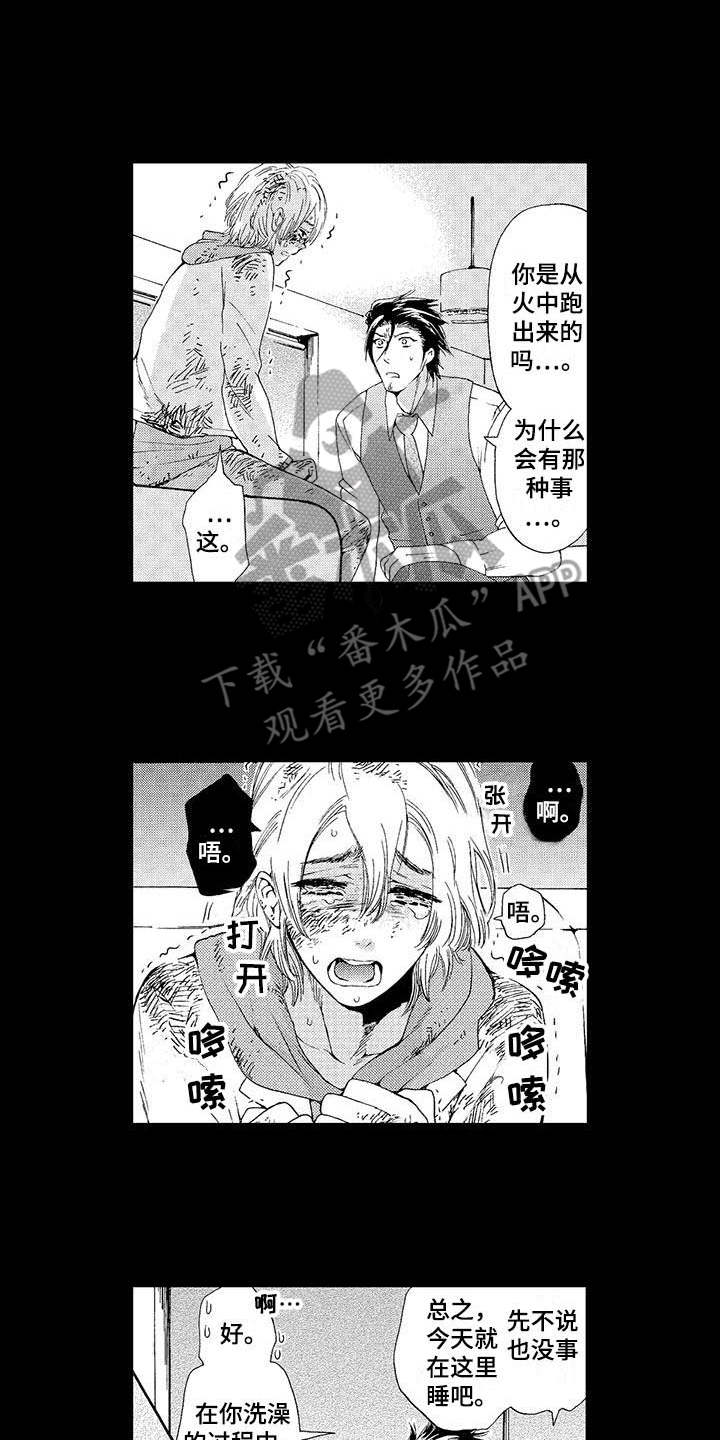 第11章：凄惨10