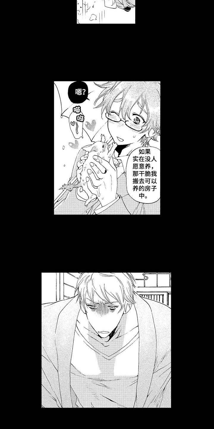 第2章：小猫6