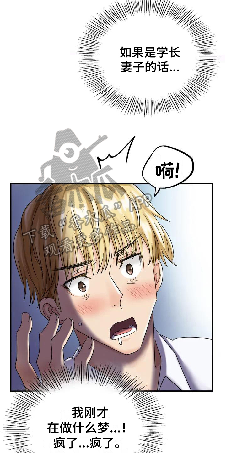 第4章：想法11