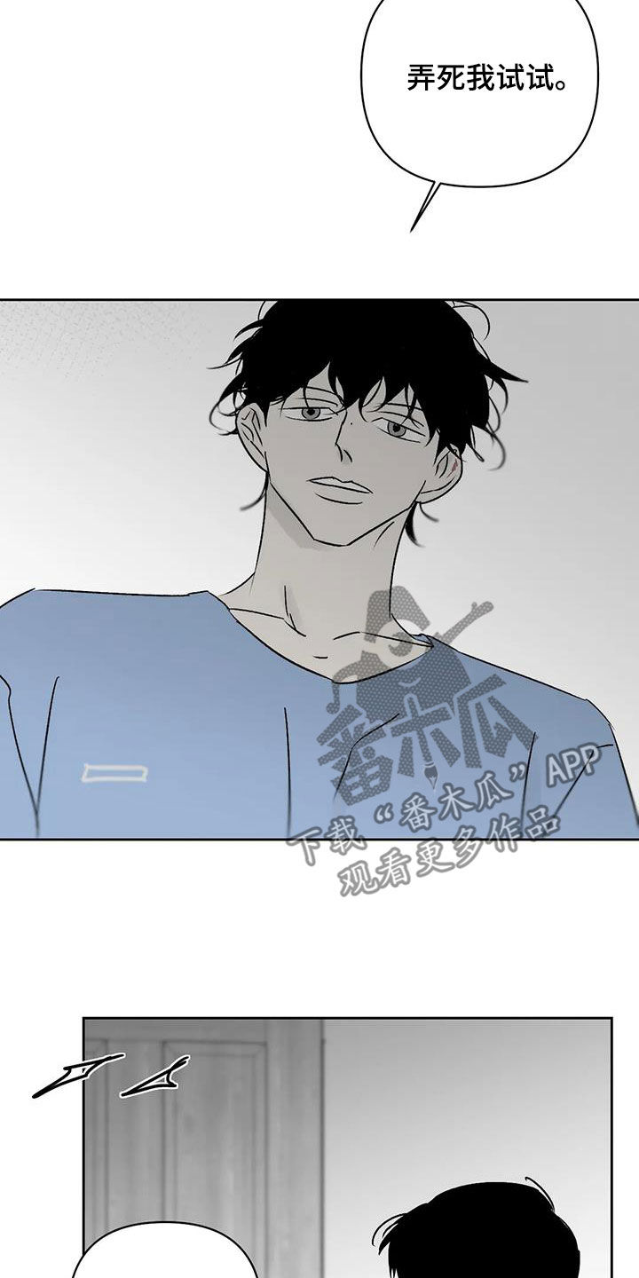 第14章：弄死我试试19