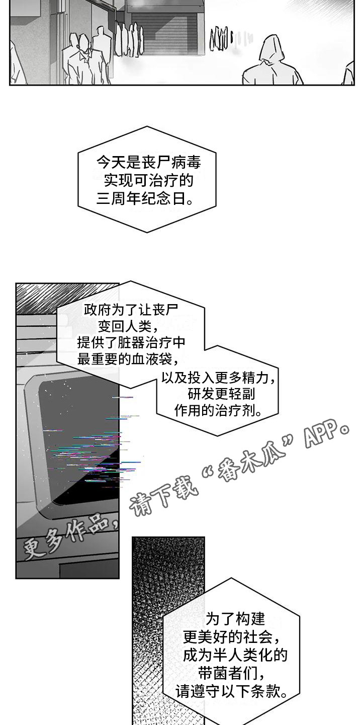 第12章：承受孤独11