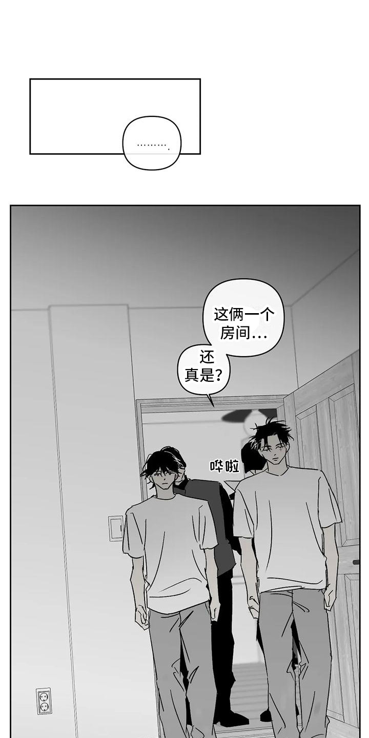 第11章：举报0