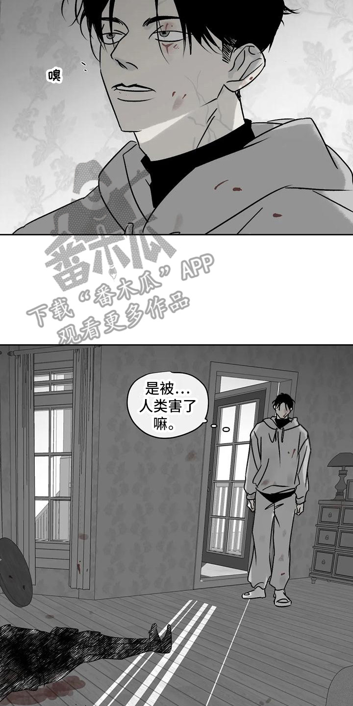 第6章：四处游荡20