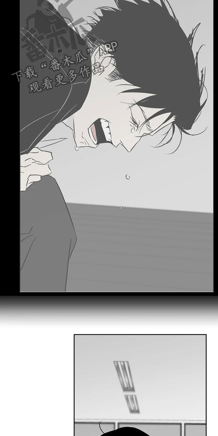 第28章：一直回荡24