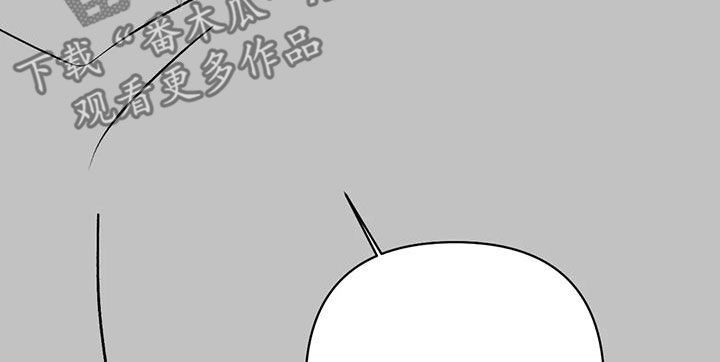 第14章：弄死我试试11
