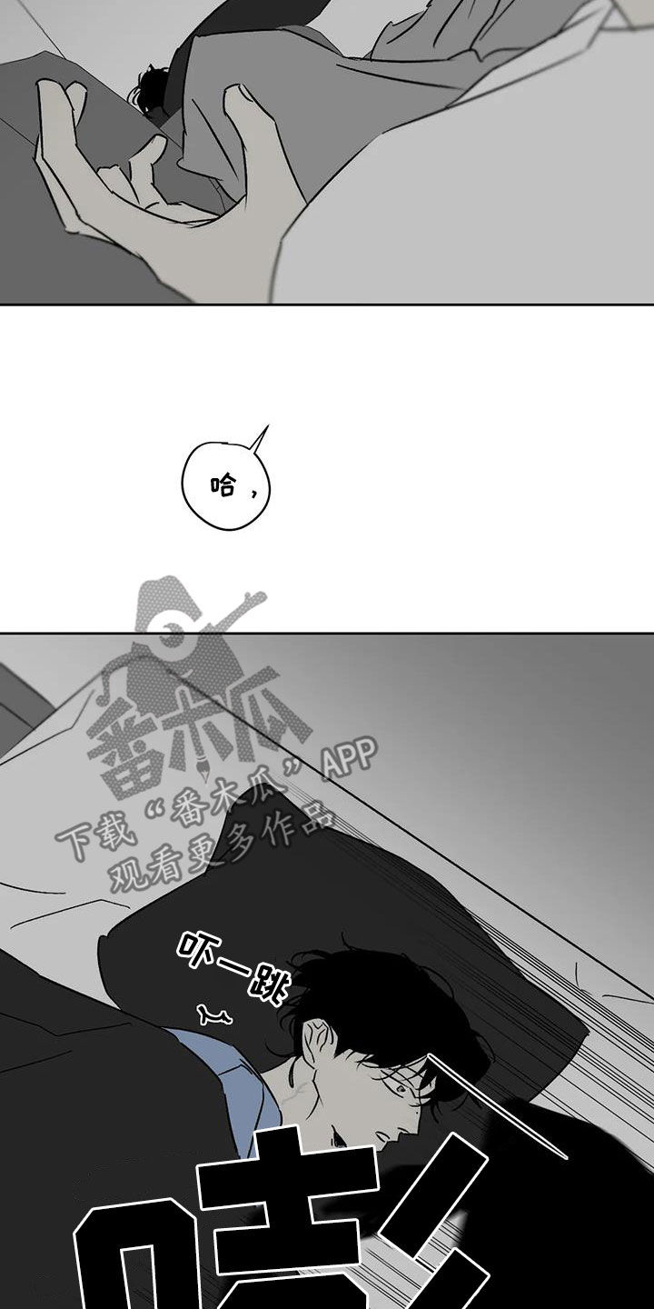 第14章：弄死我试试6