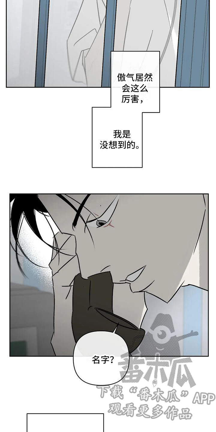 第11章：举报13
