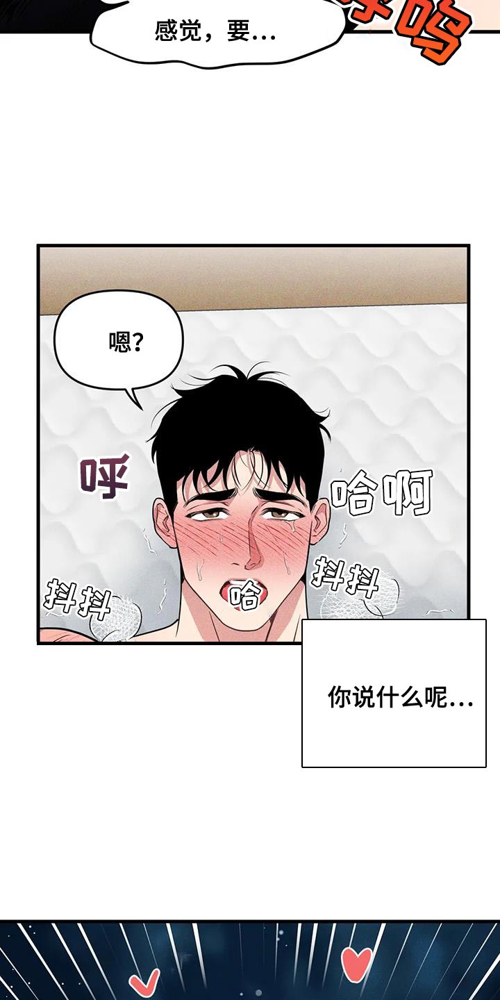 第175章：【番外】想了解你14