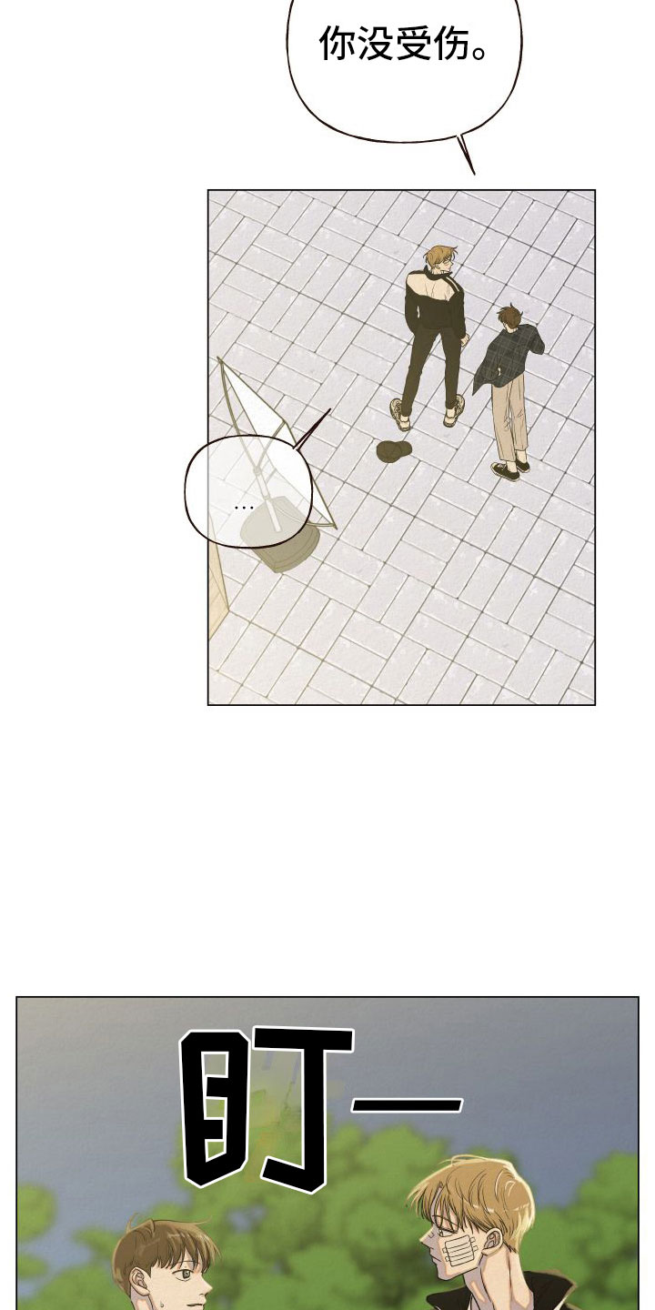 第6章：多管闲事17