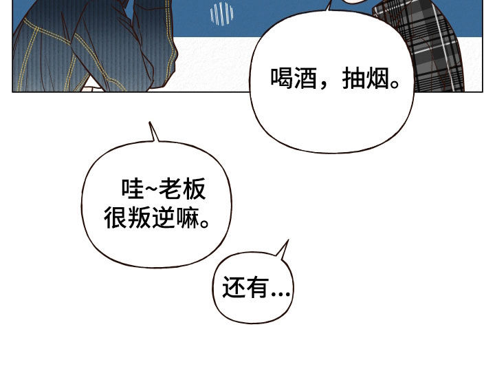 第20章：什么都尝试过17