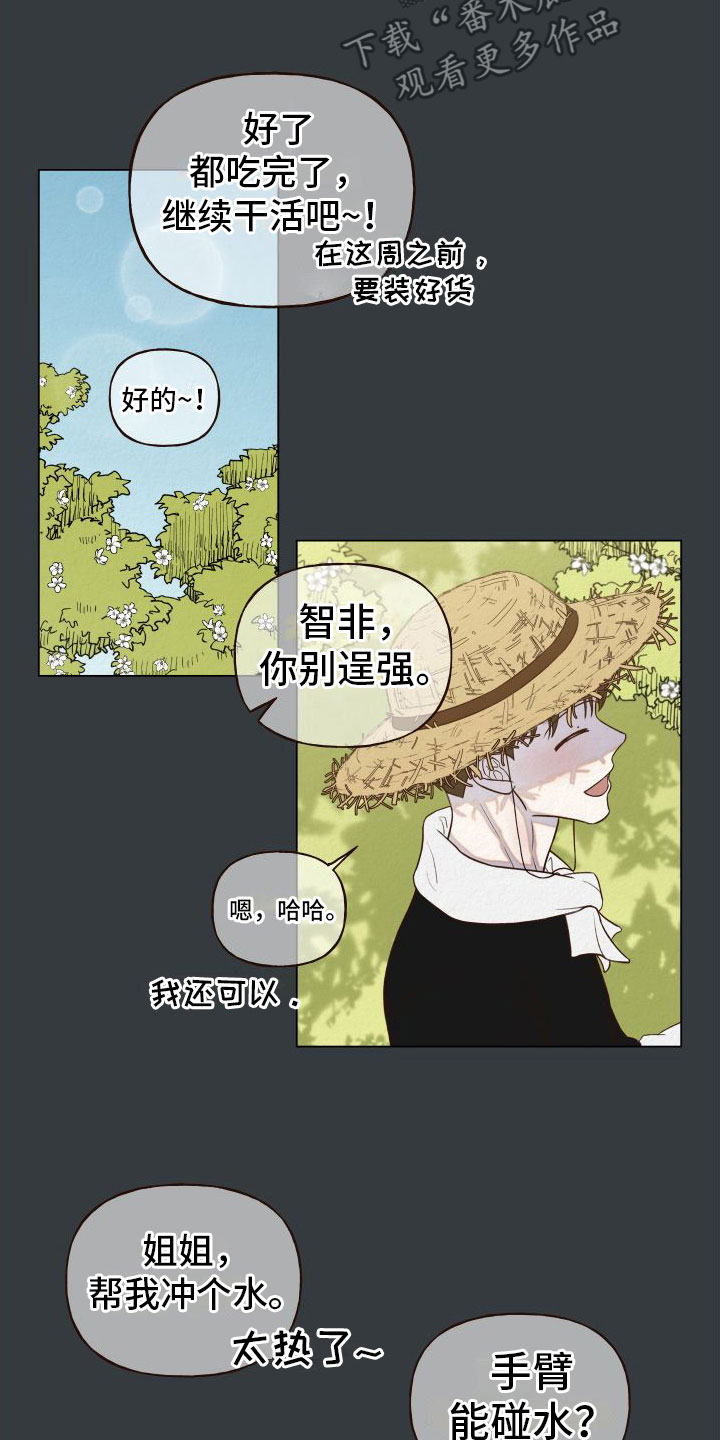 第8章：喜欢的人6