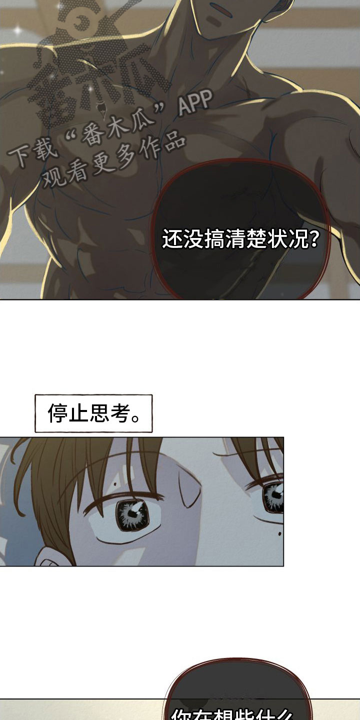 第7章：幻想12