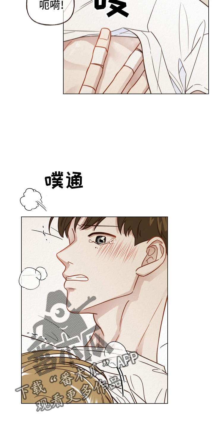 第27章：开心11