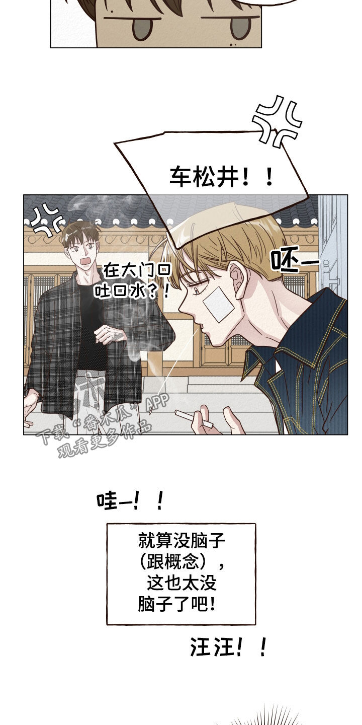 第17章：没脑子2