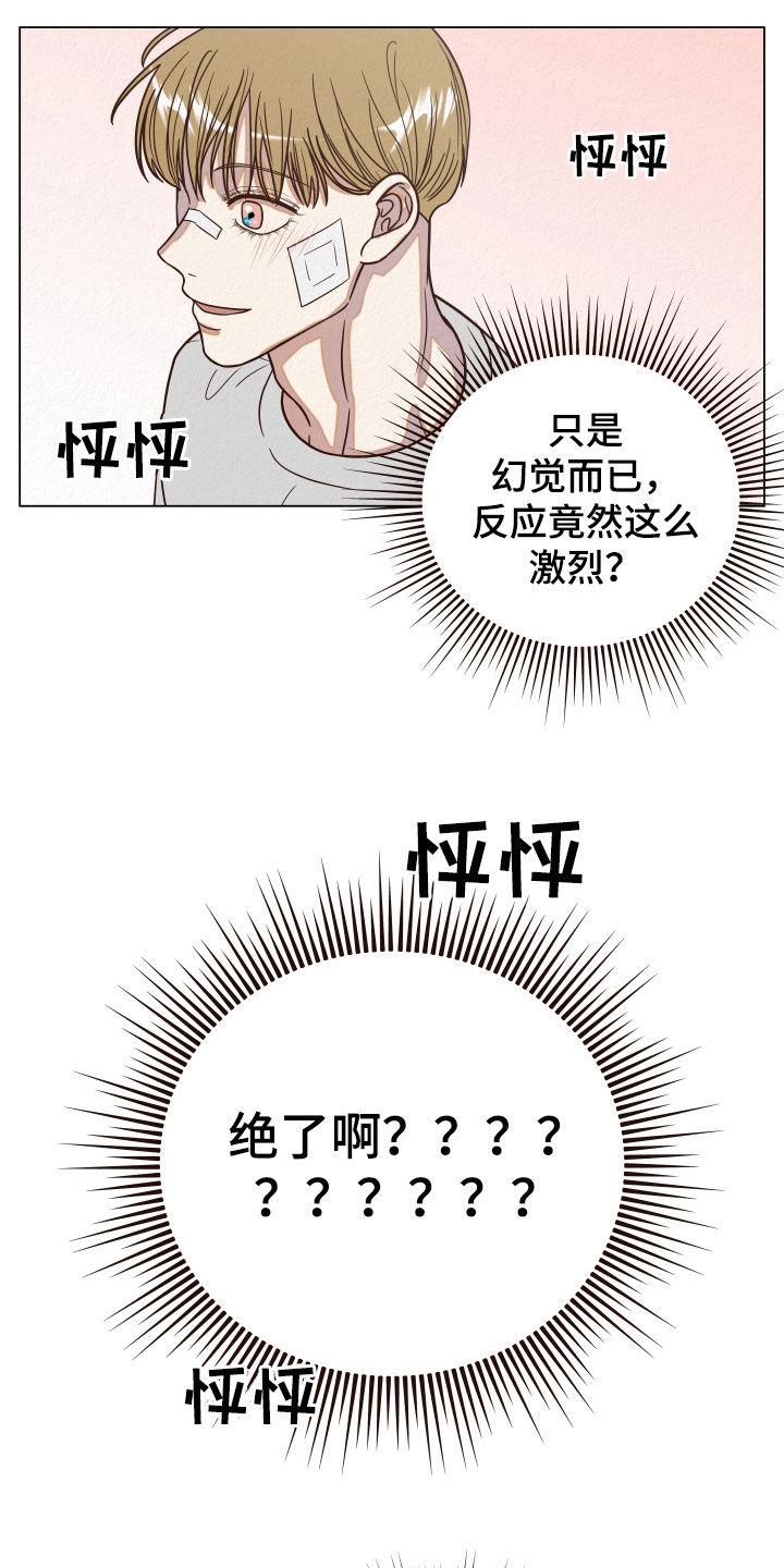 第15章：幻觉9