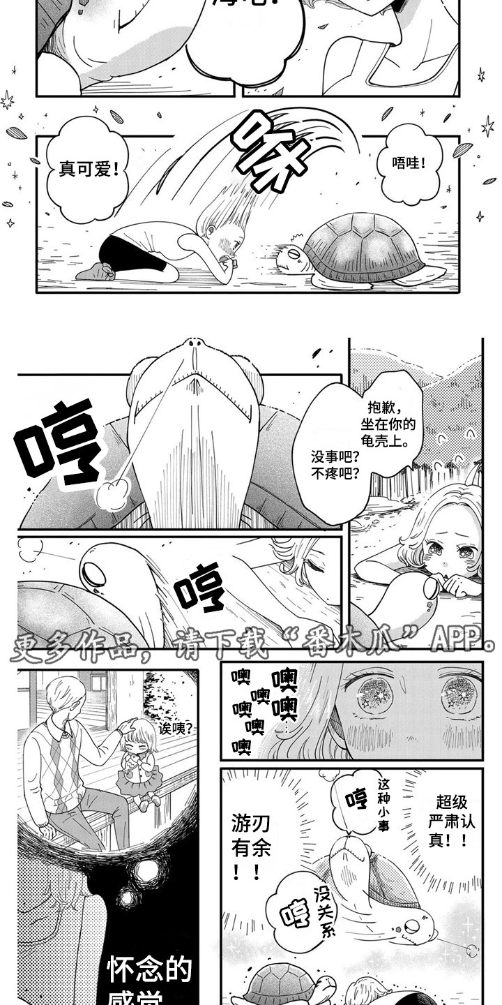 第7章：海龟4