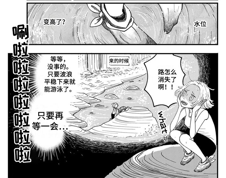 第7章：海龟9
